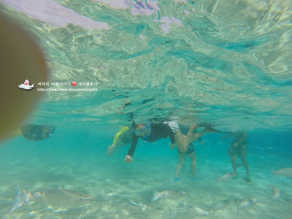 사이판여행 마나가하섬 스노클링 에메랄드빛 바닷속 탐험하기