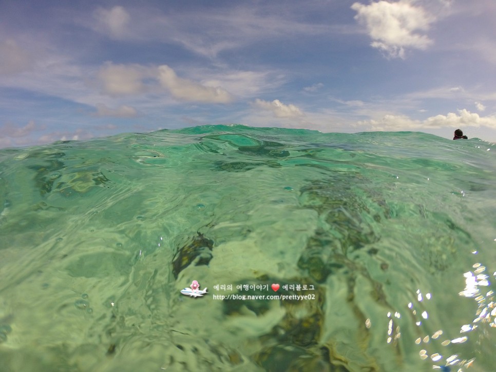 사이판여행 마나가하섬 스노클링 에메랄드빛 바닷속 탐험하기