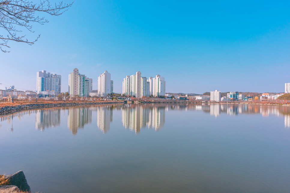 [대한민국구석구석 / 영천 가볼만한곳 ] 머리부터 마음까지 쉬어가는 영천여행 :: 영천한의마을, 별별미술마을, 시안미술관, 임고서원, 우로지자연생태공원