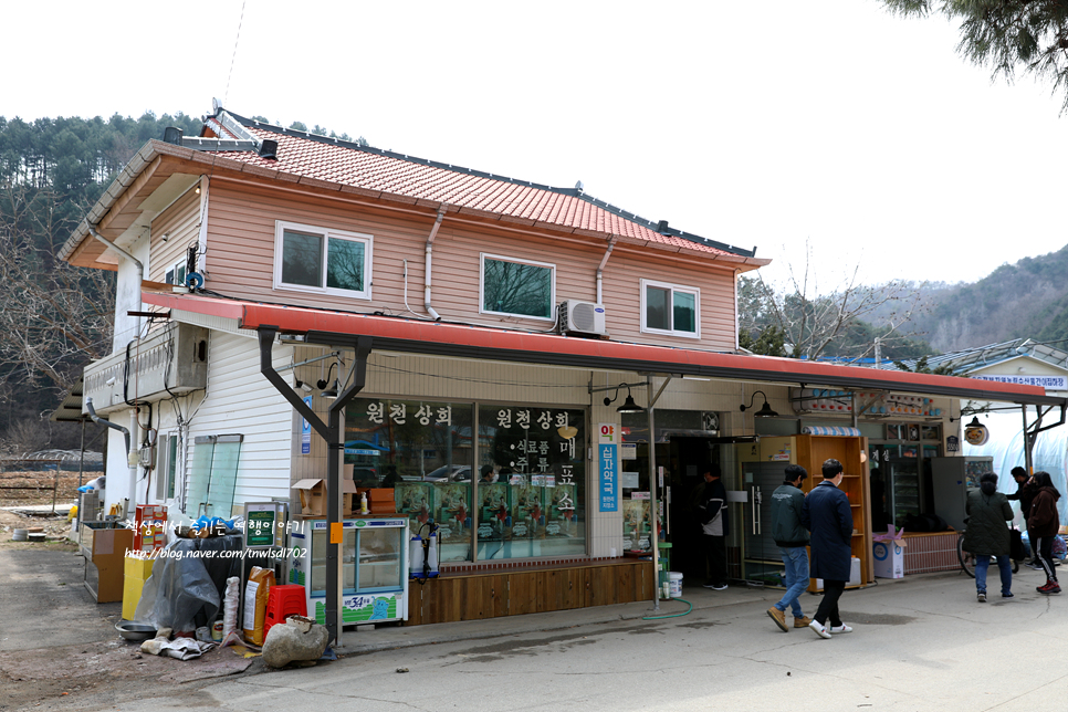 강원도 당일치기 여행 어쩌다 사장 촬영지 화천 원천상회