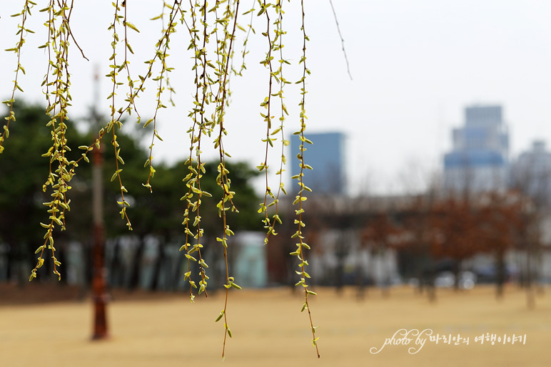 국내 가족여행 아이랑 갈만한곳, 대전 한밭수목원(서원)