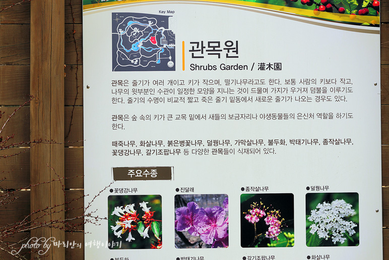 국내 가족여행 아이랑 갈만한곳, 대전 한밭수목원(서원)