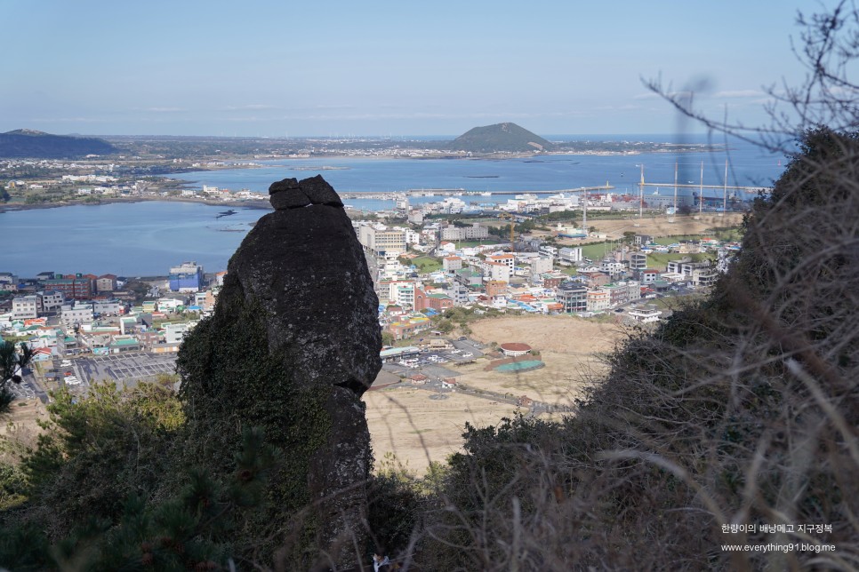 제주 구좌부터 성산일출봉 비밀의 숲 힐링 코스