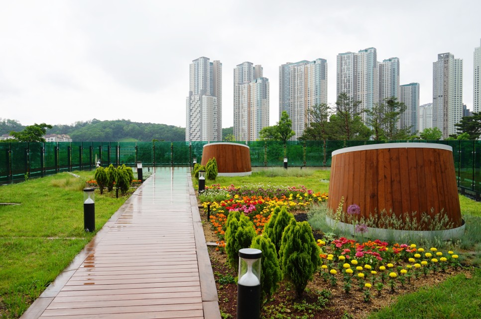경기도 여행 수원 광교호수공원 산책로와 전망대 비오는날 드라이브