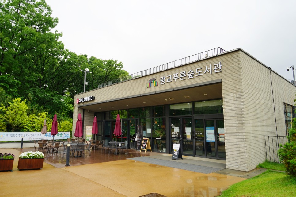 경기도 여행 수원 광교호수공원 산책로와 전망대 비오는날 드라이브