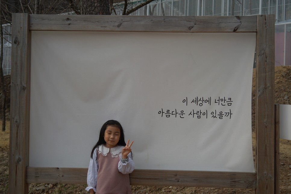 강원도 가볼만한곳 아이와 홍천 알파카월드 서울근교 당일치기 여행