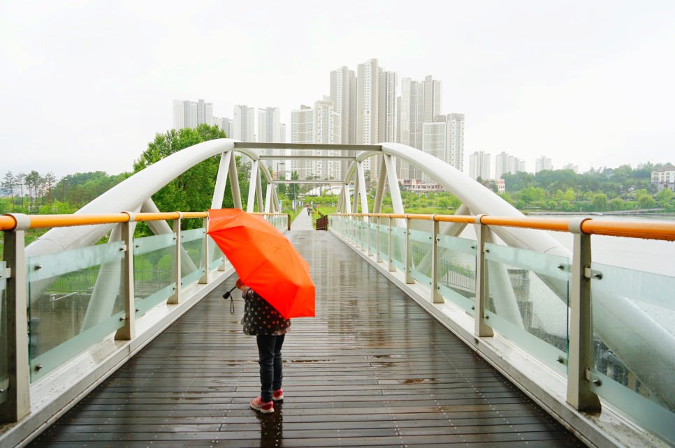 경기도 여행 수원 광교호수공원 산책로와 전망대 비오는날 드라이브