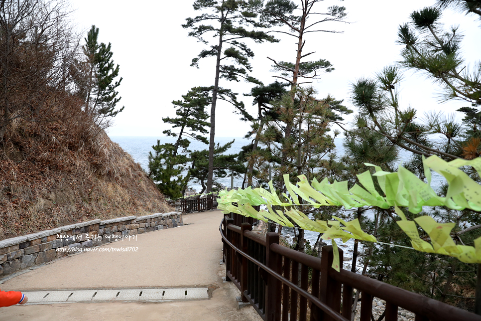 낙산사 양양 관광지 의상대 홍련암 해수관음상
