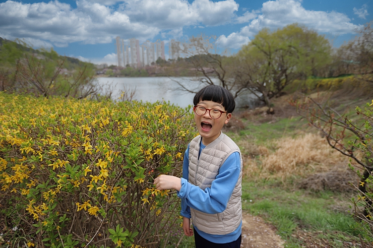 울산 벚꽃명소 선암호수공원 (2021년) 국내 봄 여행지 No.1