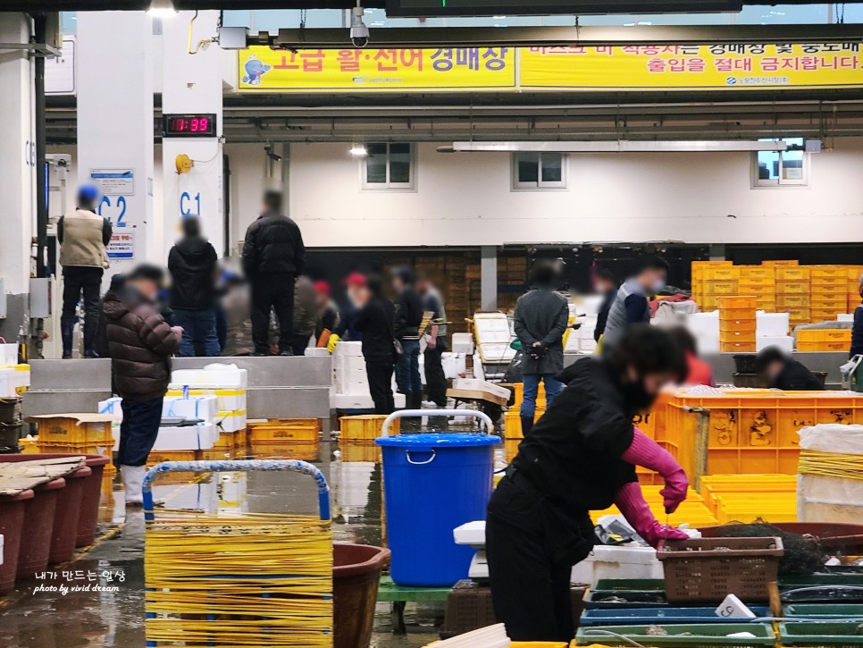 서울 가볼만한곳 노량진수산시장 경매시간 알아보고 새벽나들이