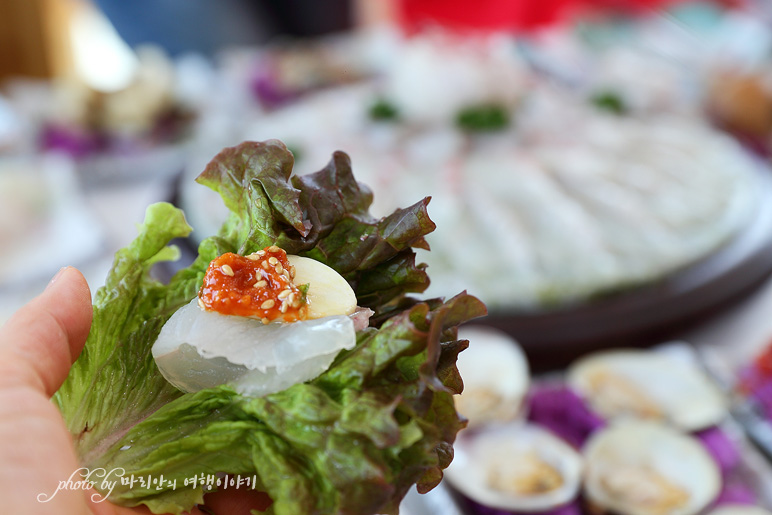 충남 태안 가볼만한곳 청산수목원 외 당일치기 여행 ~