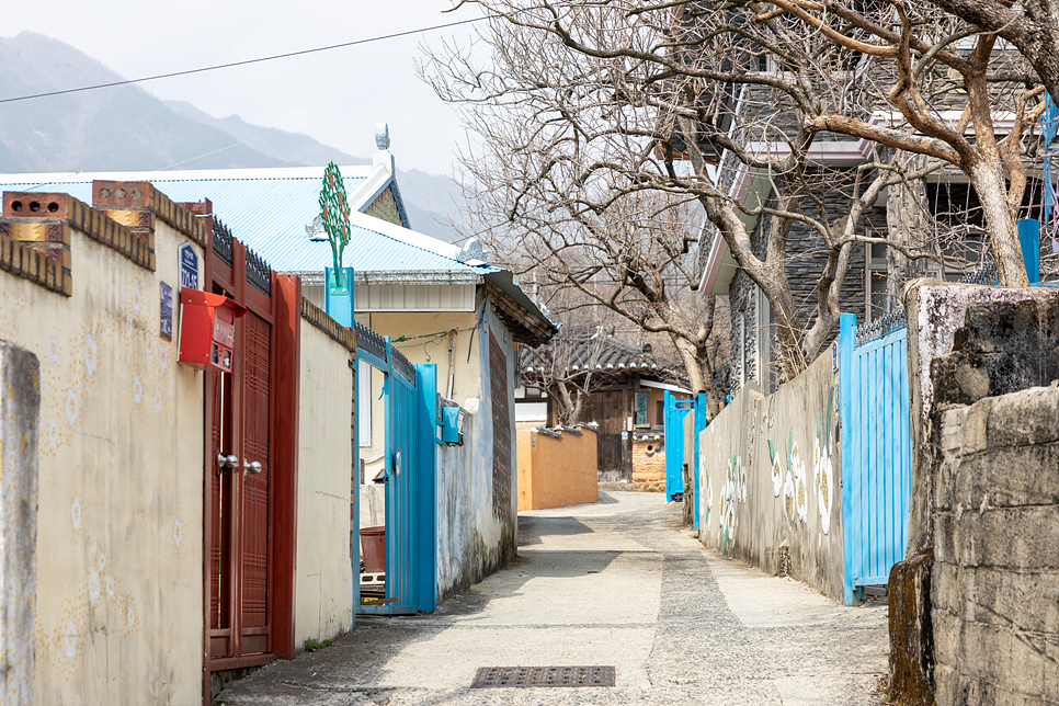 경남 여행 하동 가볼만한곳 4 벚꽃길, 녹차밭, 매암제다원