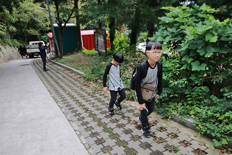 가족여행지 최고의 스팟 울릉도여행 봄여행 가볼만한곳