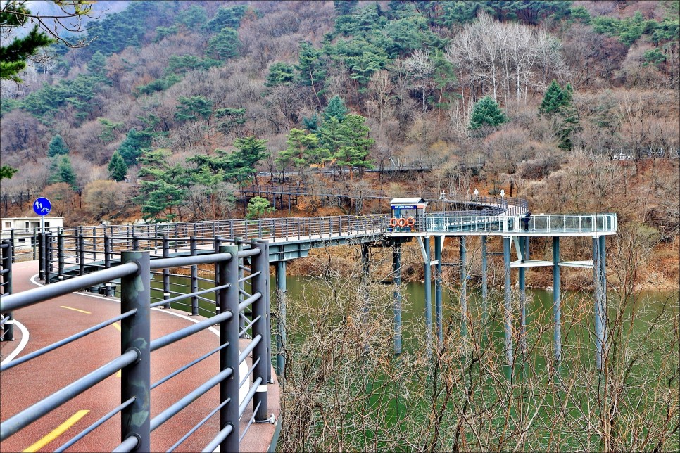 대전 벚꽃 여행 우암사적공원 나들이