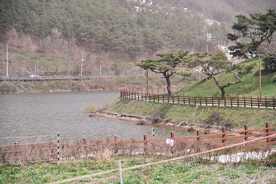 구례 가볼만한곳 지리산 치즈랜드 수선화 꽃 여행