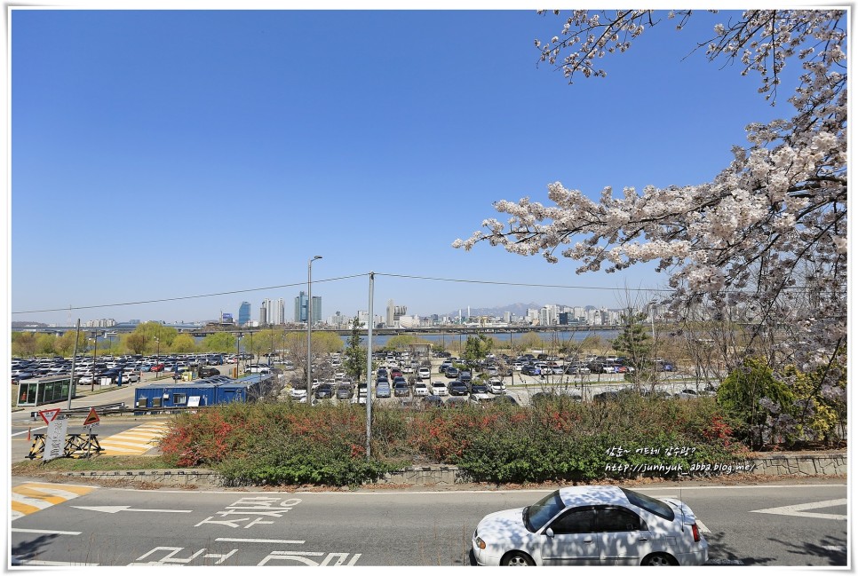 서울 벚꽃 명소 여의도,석촌호수 벚꽃축제 통제