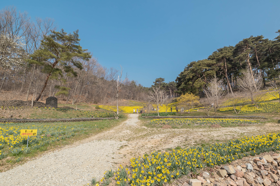 봄맨투맨 & 조거팬츠 & 네파하이킹화로 도시부터 아웃도어까지 + 할인쿠폰