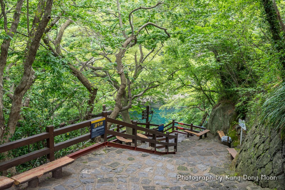 제주도 여행 코스 중문관광단지 볼거리 최고는 천제연폭포