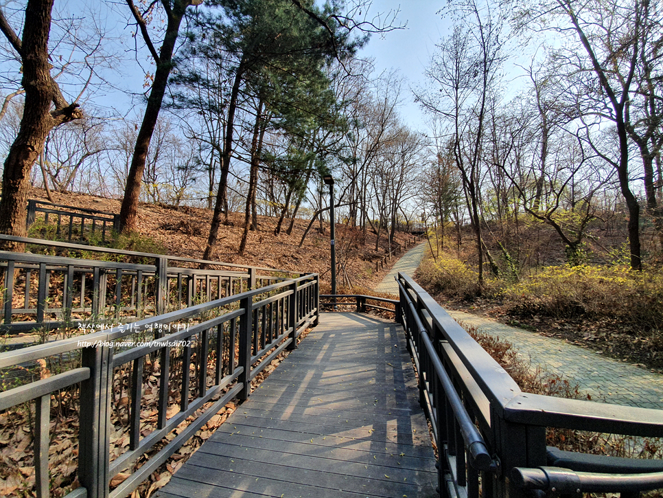 서울걷기좋은길 배봉산 둘레길 산책하기 좋은곳