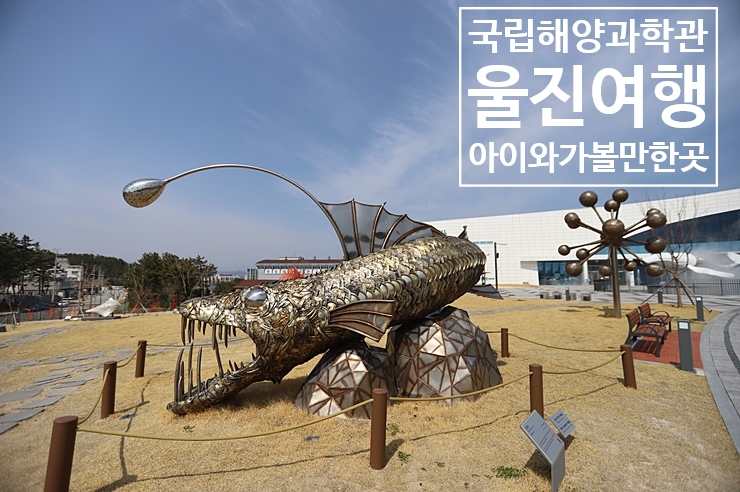 울진 아이와가볼만한곳 국립해양과학관 (박물관 아닙니다.)
