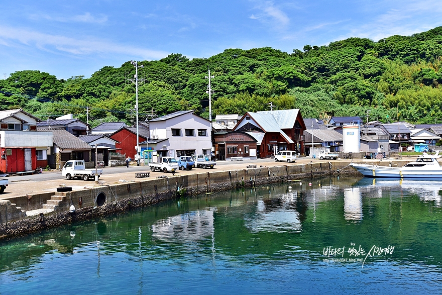 부록같은 일본 후쿠오카 여행 아이노시마 고양이섬