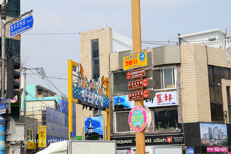 속초 가볼만한곳 영랑호 벚꽃, 속초중앙시장 먹거리 겟!