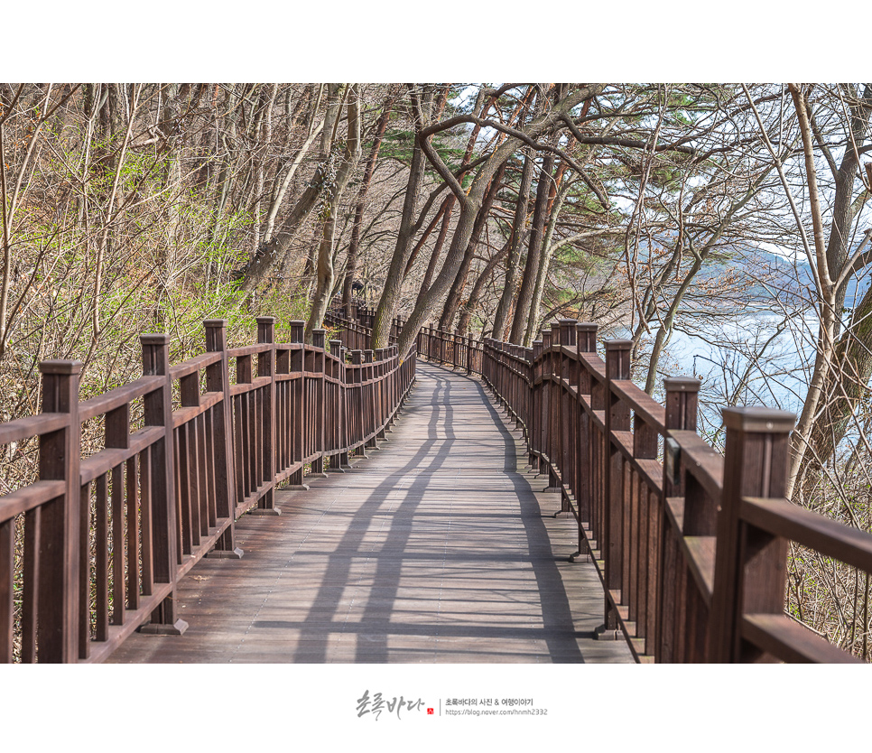 죽녹원外 담양 가볼만한곳, 담양메타프로방스까지