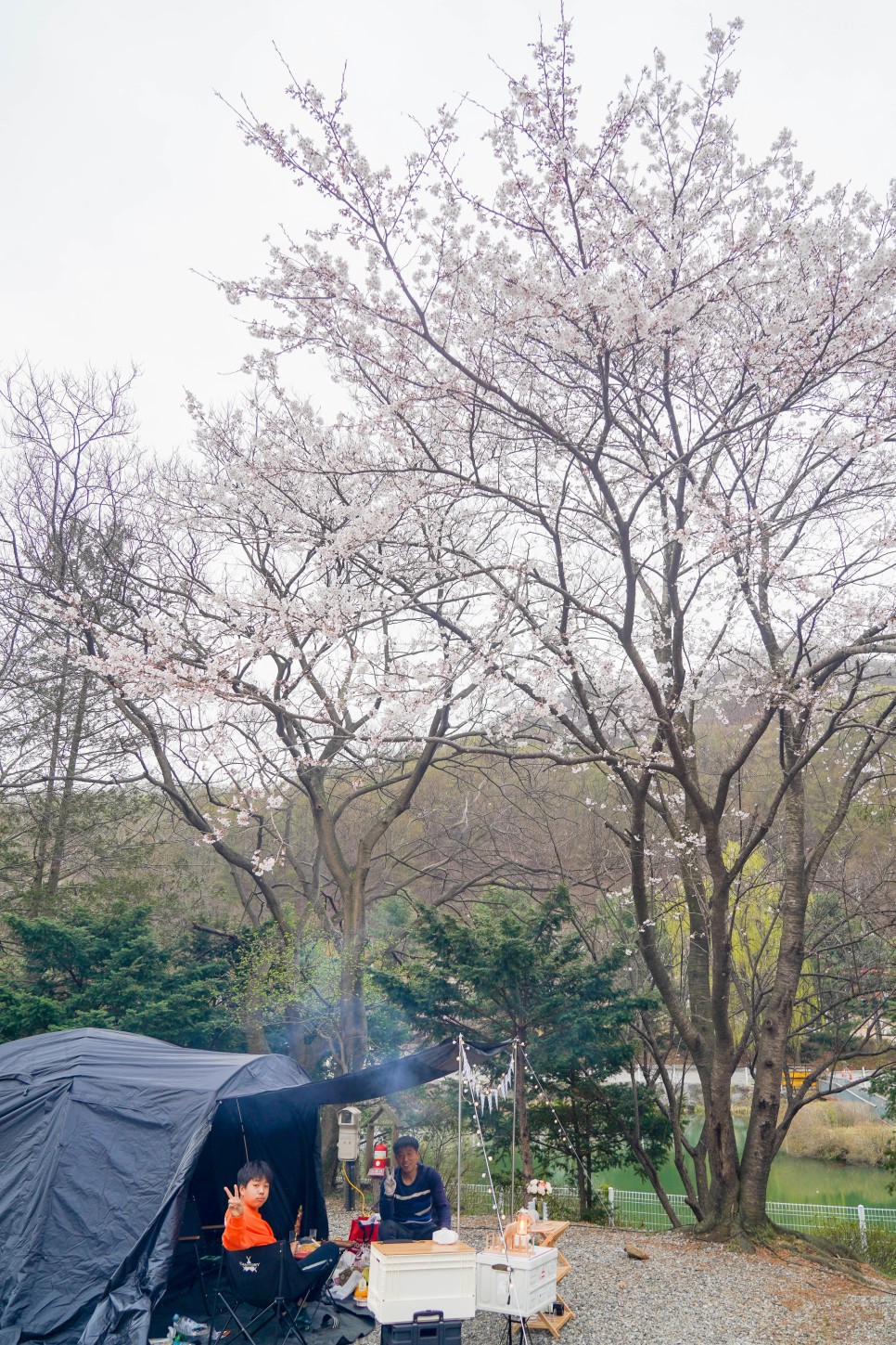 벚꽃캠핑 다녀왔어요. 용인 문수산 캠핑장