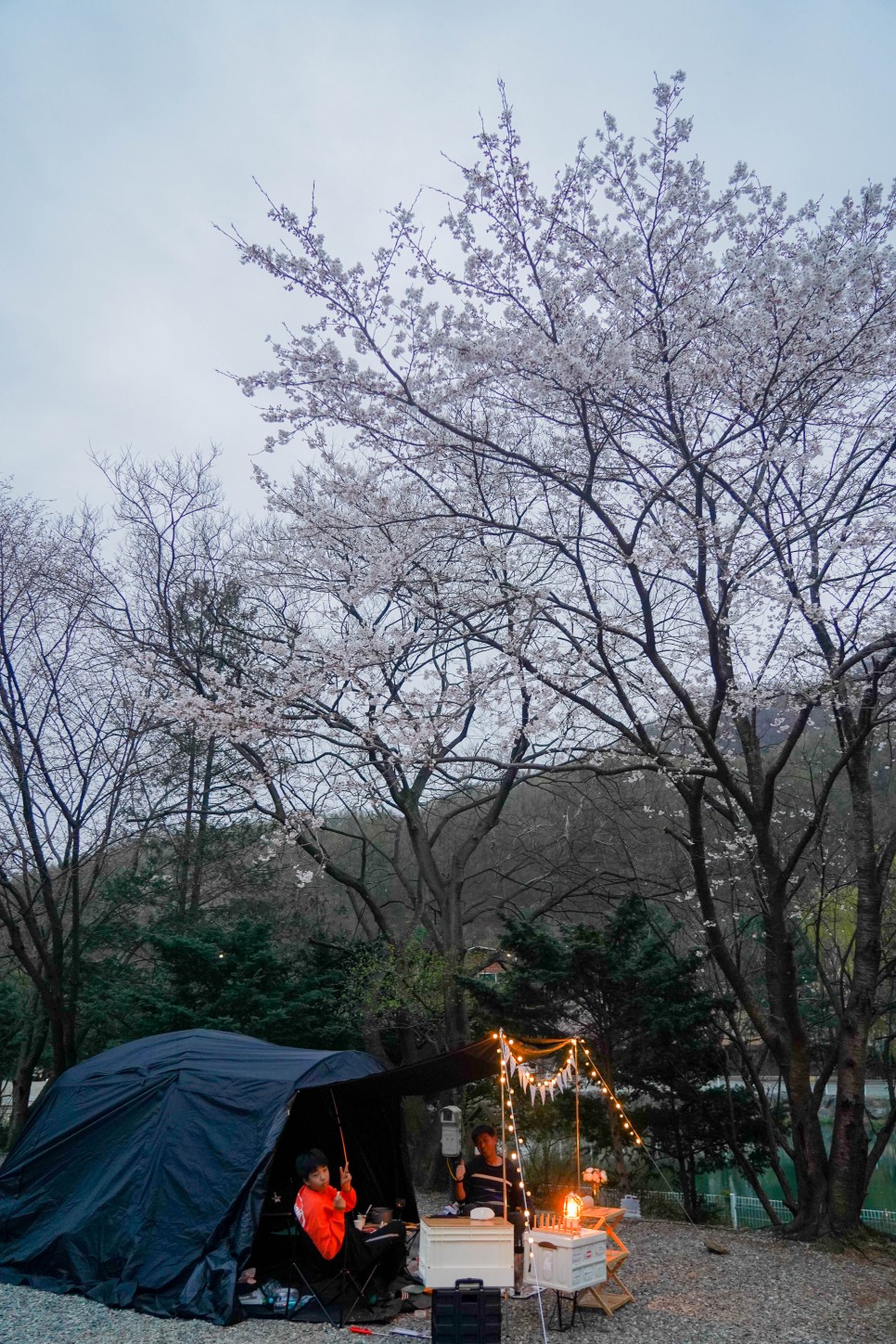 벚꽃캠핑 다녀왔어요. 용인 문수산 캠핑장