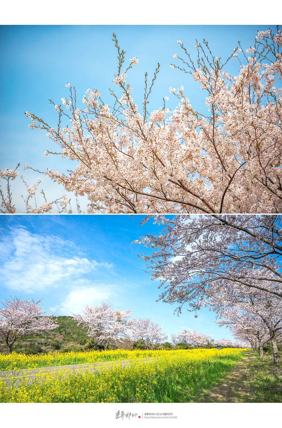 제주여행 볼거리 놀거리,제주도 서쪽 코스까지