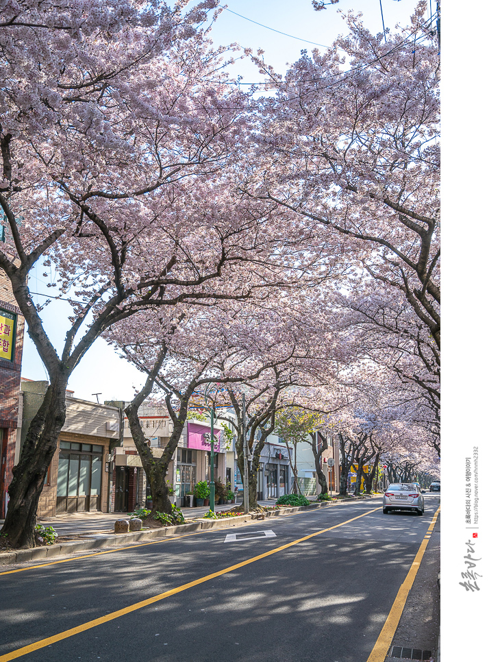 제주여행 볼거리 놀거리,제주도 서쪽 코스까지