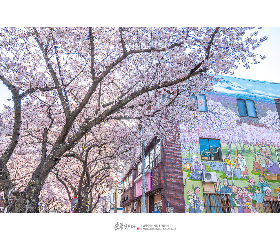 제주여행 볼거리 놀거리,제주도 서쪽 코스까지