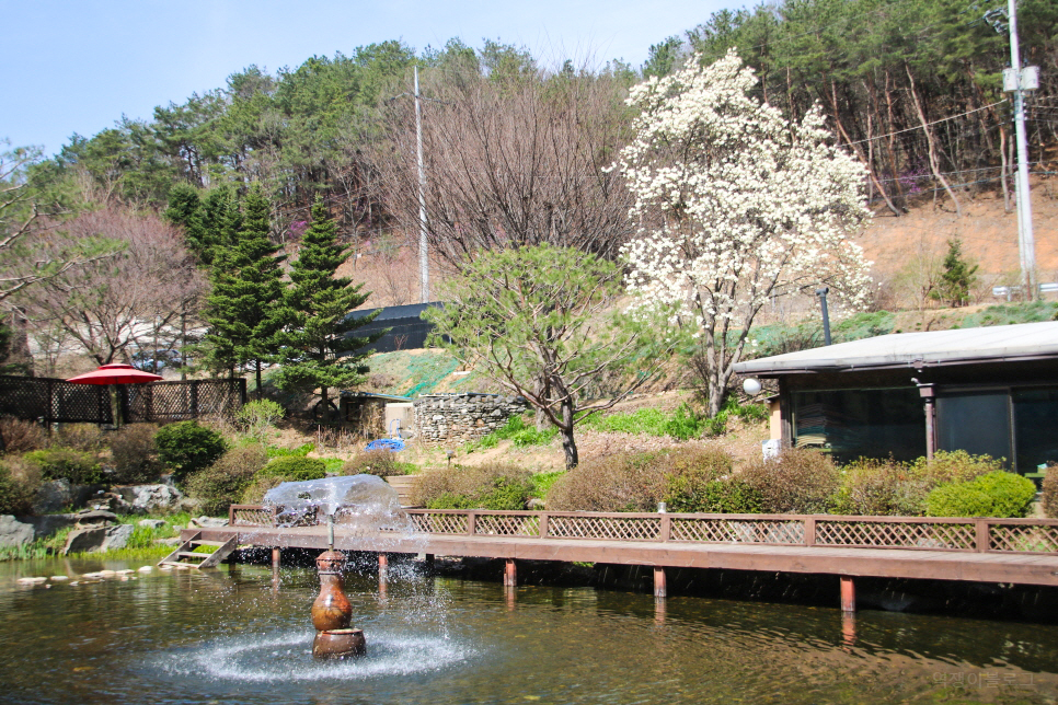 서울 근교 드라이브 코스 양평 두물머리, 남양주 물의 정원 등등