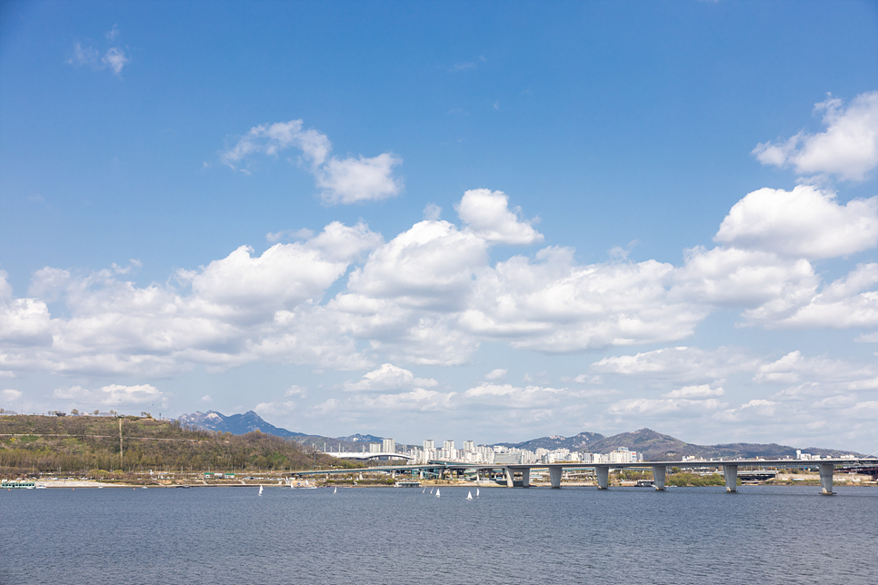 파주 마장호수 출렁다리와 벚꽃길, 레드브릿지 경기도 드라이브 코스