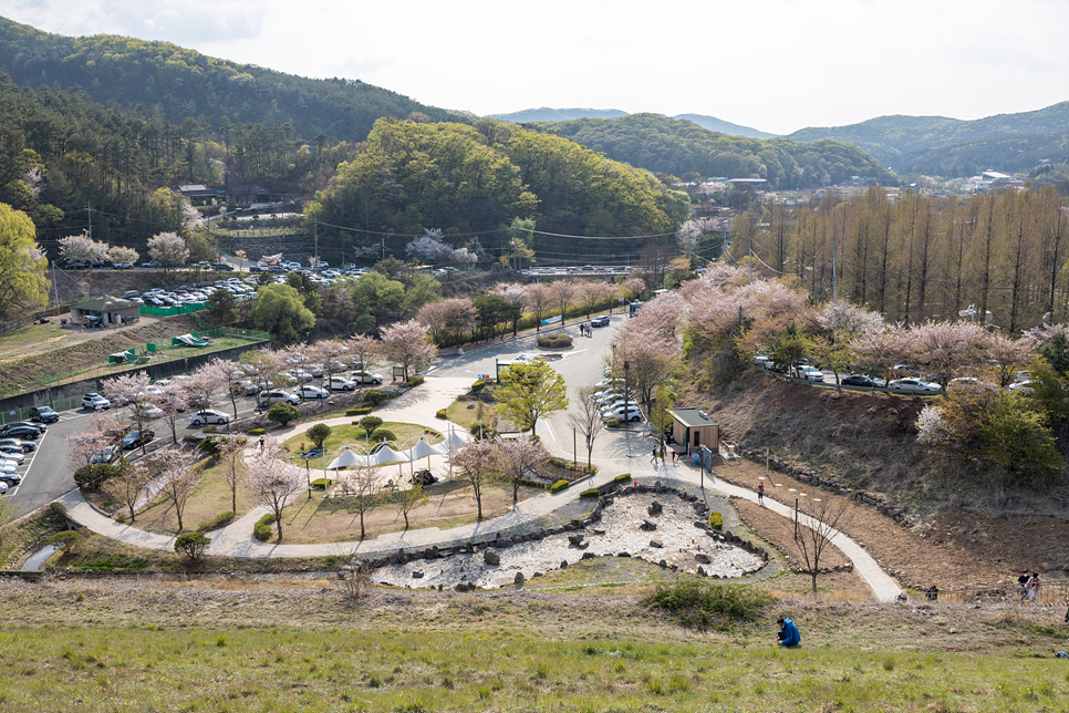 파주 마장호수 출렁다리와 벚꽃길, 레드브릿지 경기도 드라이브 코스