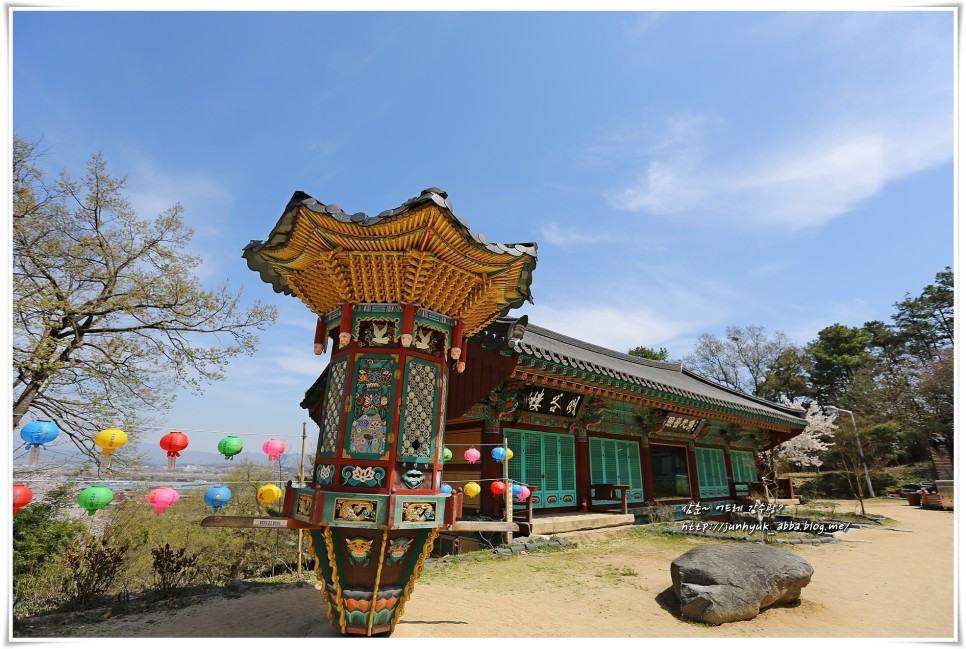 충남 가볼만한곳 논산 벚꽃명소 관촉사