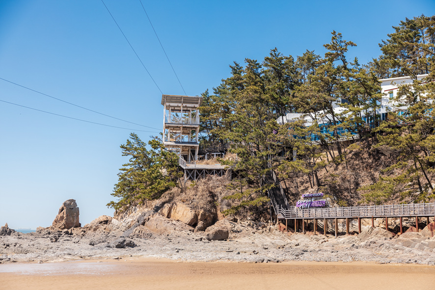 태안 여행 1박 2일 코스 총정리(천리포수목원 / 만리포해수욕장 / 피노카페 / 신두리 해안사구 / 학암포해수욕장)