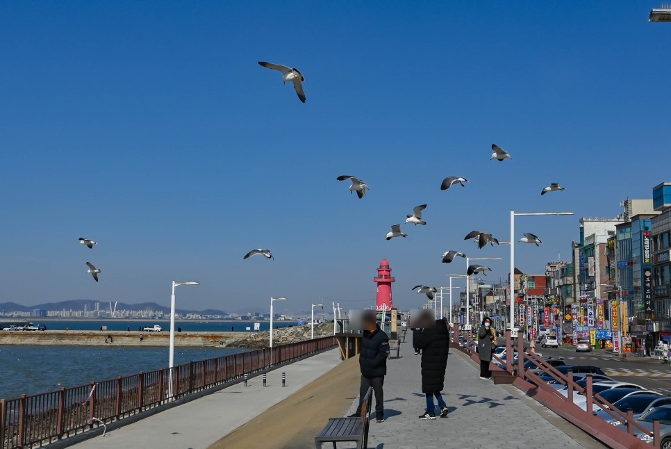 서해안 가볼만한곳 오이도 안산대부광산퇴적암 등 주말 드라이브코스