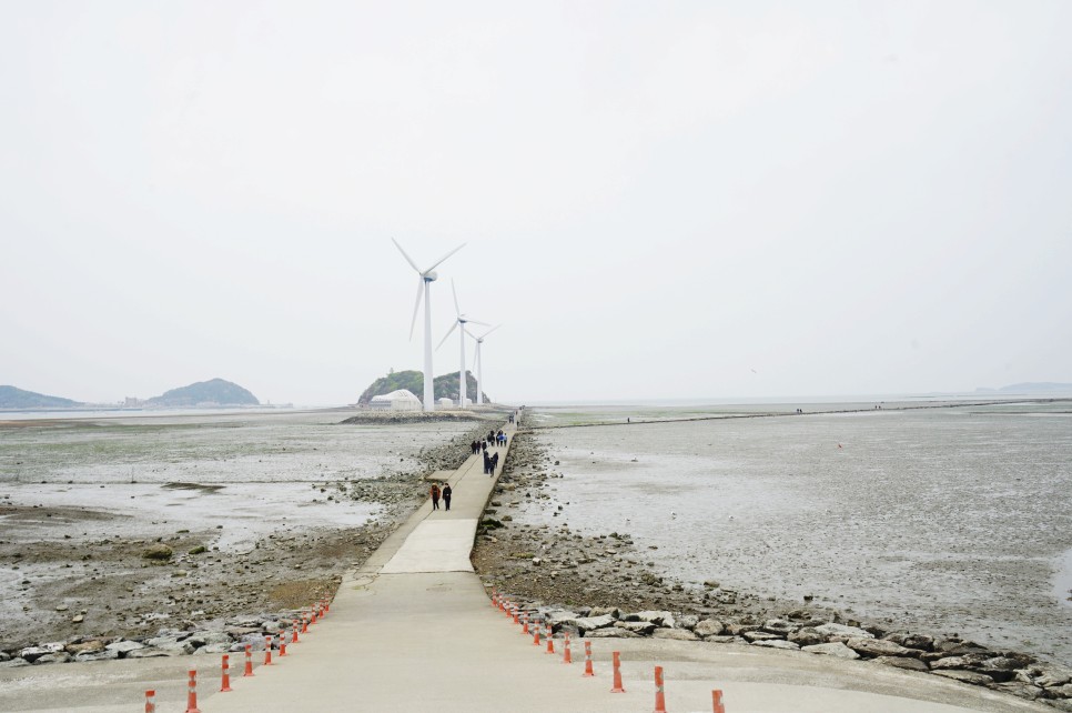 대부도 갈만한곳 시화나래휴게소달전망대와 탄도항 누에섬 인천바다 주말여행