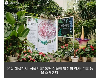 경희애문화 서울시 정보, 봄날의 꽃을 좋아하세요? 서울식물원 봄꽃 12만 본 전시