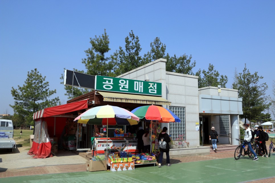 대전 근교 드라이브 코스 청주 문암생태공원 튤립 나들이