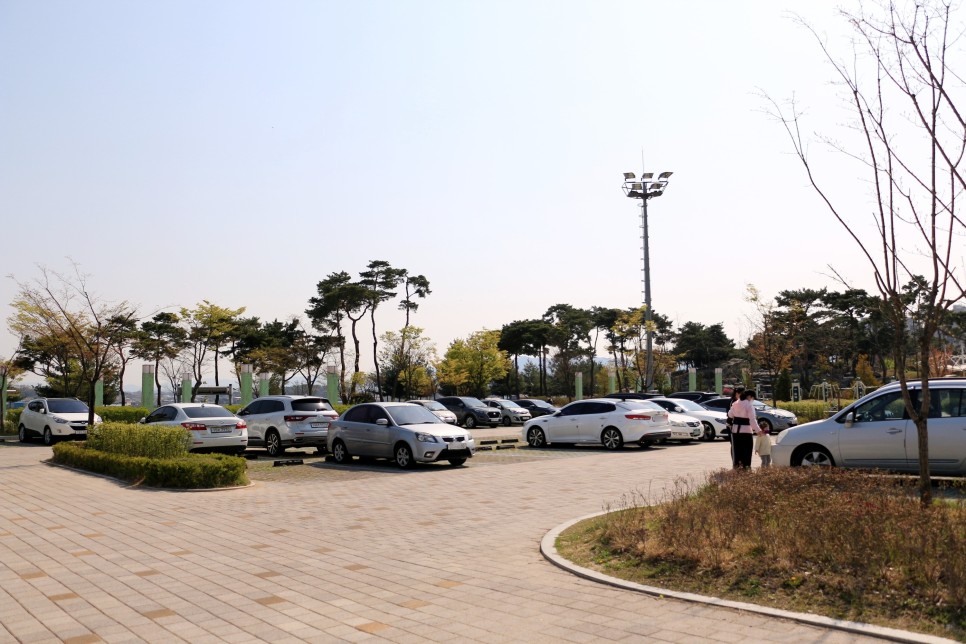 대전 근교 드라이브 코스 청주 문암생태공원 튤립 나들이