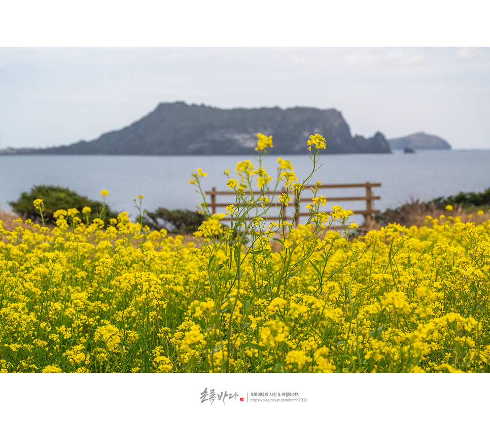 제주 성산 가볼만한곳 제주도 동쪽 코스 성산일출봉外