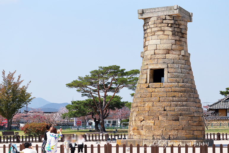 국내 봄 여행지 경주 첨성대 튤립정원 봄꽃구경 4월 경주여행