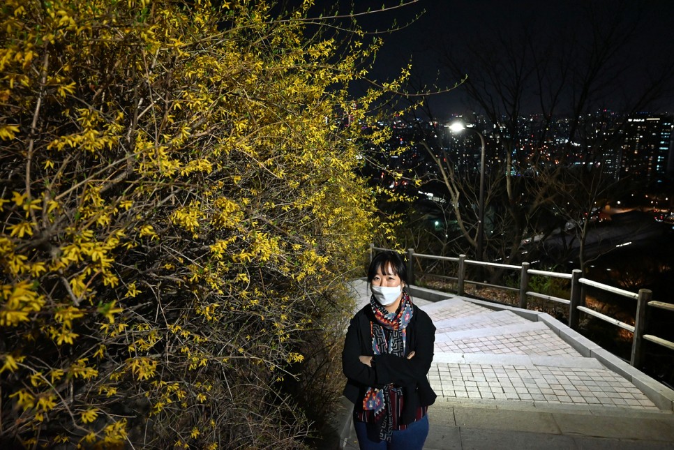 서울나들이 서울 남산 공원 산책로 둘레길 전망대 야경 종합가이드
