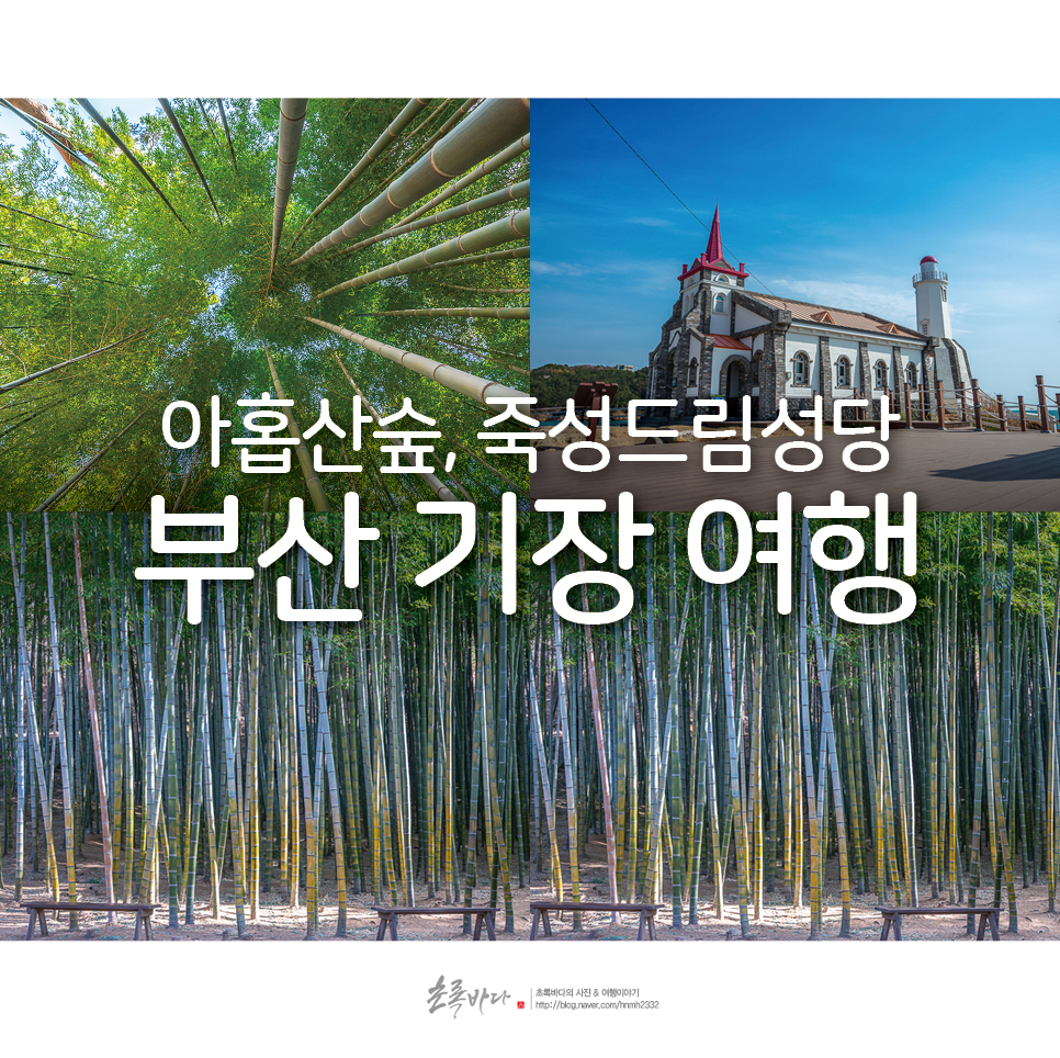 부산 나들이 기장 여행 아홉산숲, 죽성드림세트장(성당)