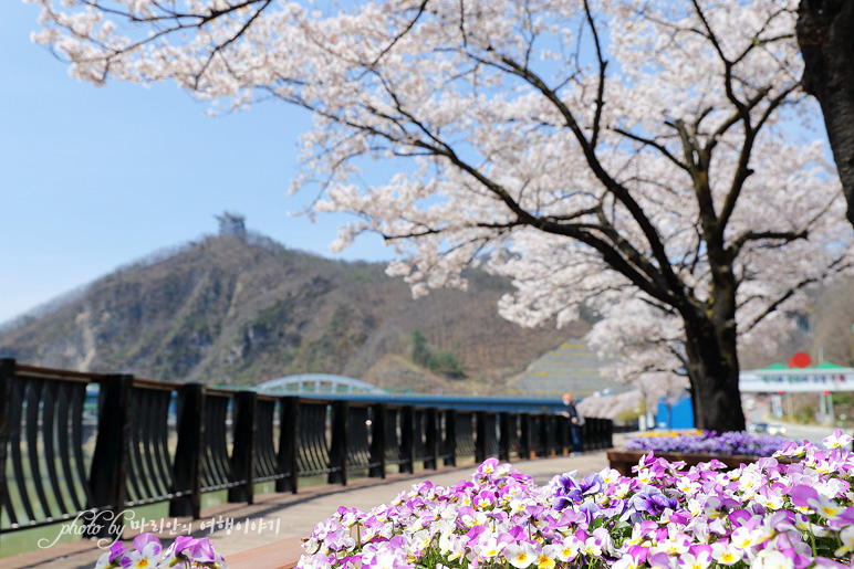 단양 가볼만한곳 도담삼봉 & 충북 1박2일 여행 코스