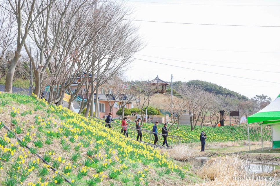 충남 서산가볼만한곳 서산 유기방가옥 해미읍성 호떡 곱창