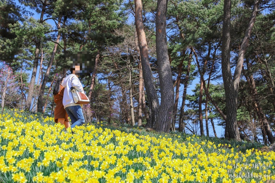 충남 서산가볼만한곳 서산 유기방가옥 해미읍성 호떡 곱창