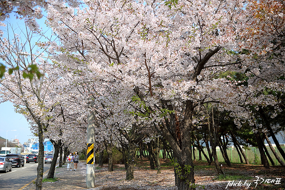 서울근교 갈만한곳 오이도 주말 나들이 시흥 배곧한울공원 놀이터